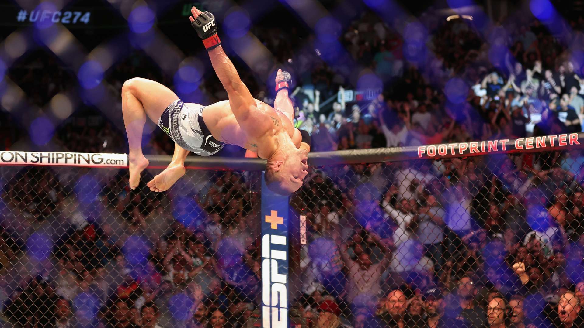 较高的关注 较高的关注